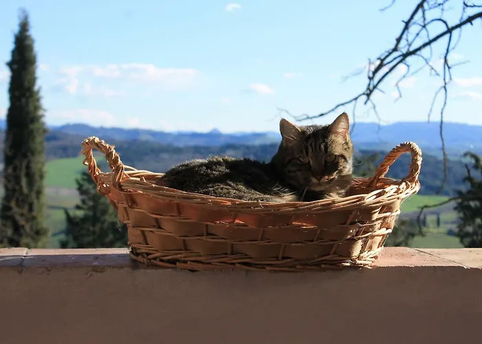 Bed & Breakfast Bb Gli Aristogatti Ghizzano