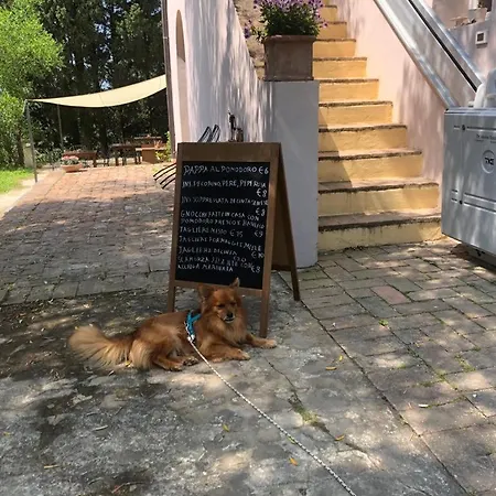 Bed & Breakfast Bb Gli Aristogatti Ghizzano