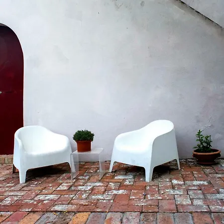 Bed & Breakfast Bb Gli Aristogatti Ghizzano